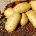 Patates Diyeti Nedir?